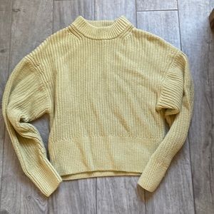 Everlane Cotton Moss Green Knitted Women’s Small Sweater with White Accent